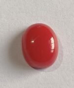 Natural Coral Gem