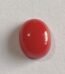 Natural Coral Gem